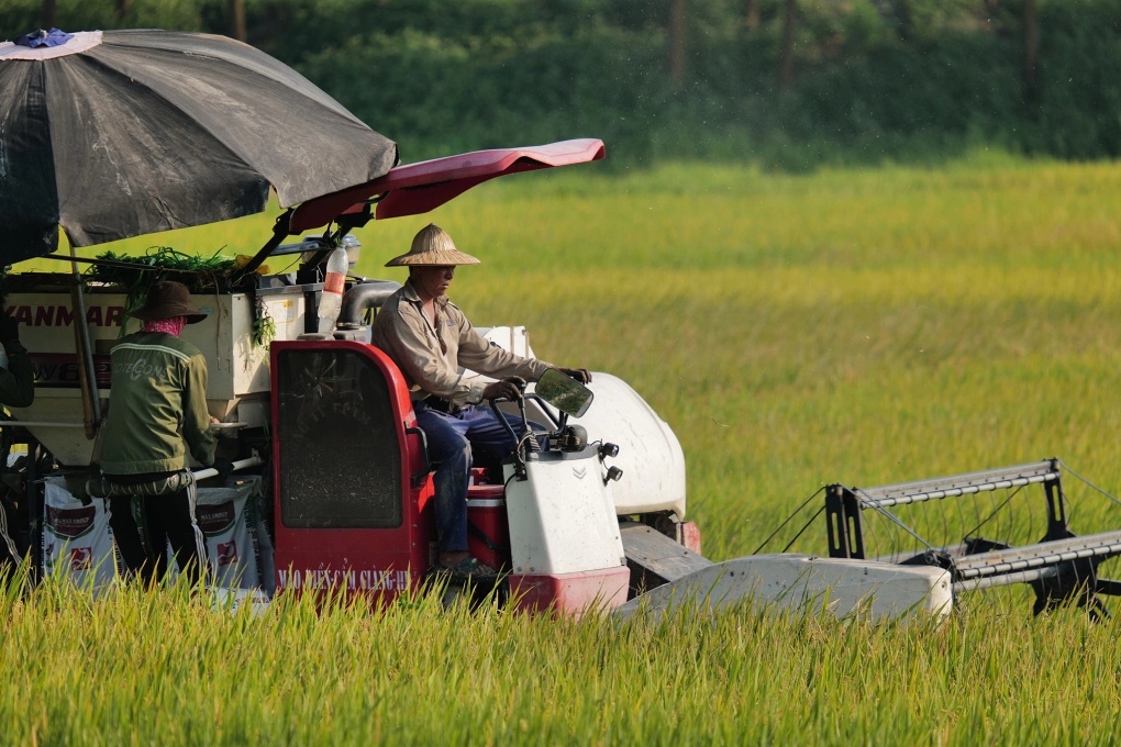 L1120821 JPG 9141 1727842592