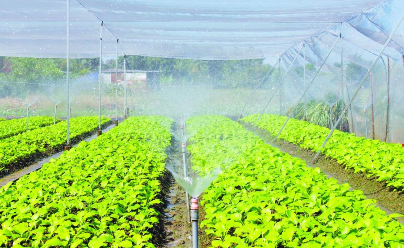 image.daidoanket.vn images upload nghipm 06272023 anhbaiduoi